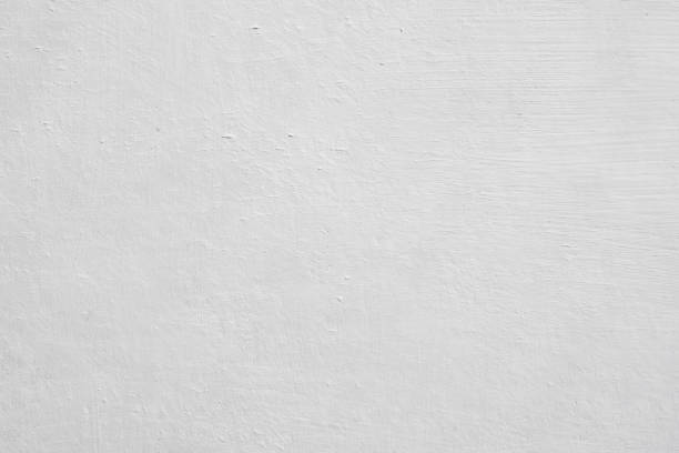 Best Attic Mold Removal  in Canaan, CT