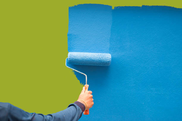Best Attic Mold Removal  in Canaan, CT
