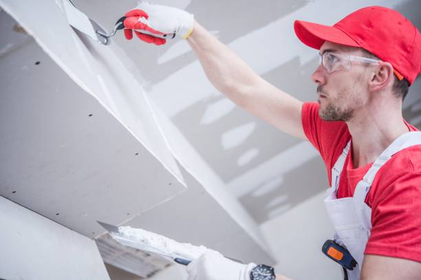 Best Mold Remediation for Rental Properties  in Canaan, CT